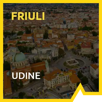 Workshop 2025 - UDINE