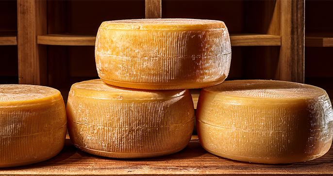 Transformation du fromage