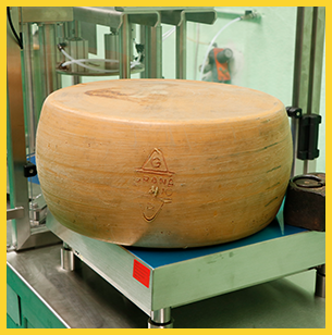 Facchinetti cheese portioning machine