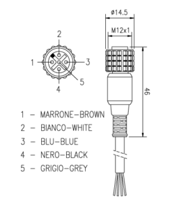 CD15