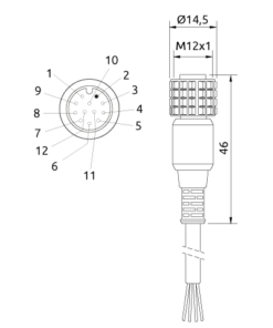 CS12D15