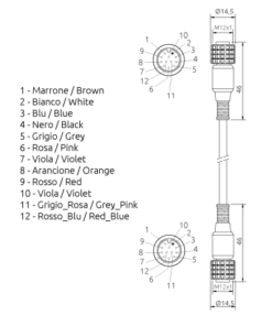 CFF 12P 5