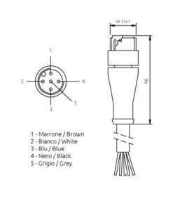 CJS3