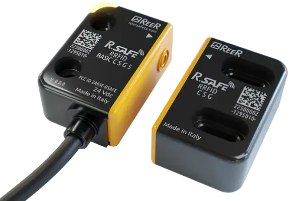 R-SAFE Basic model